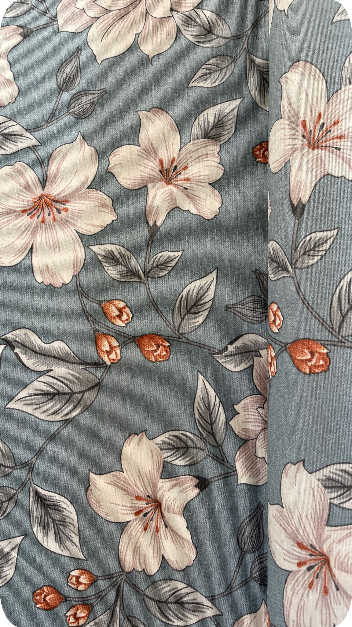 Otros Diseños - Lili Azul